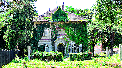 97968-126612-aleksandar-a-1607-2015-02