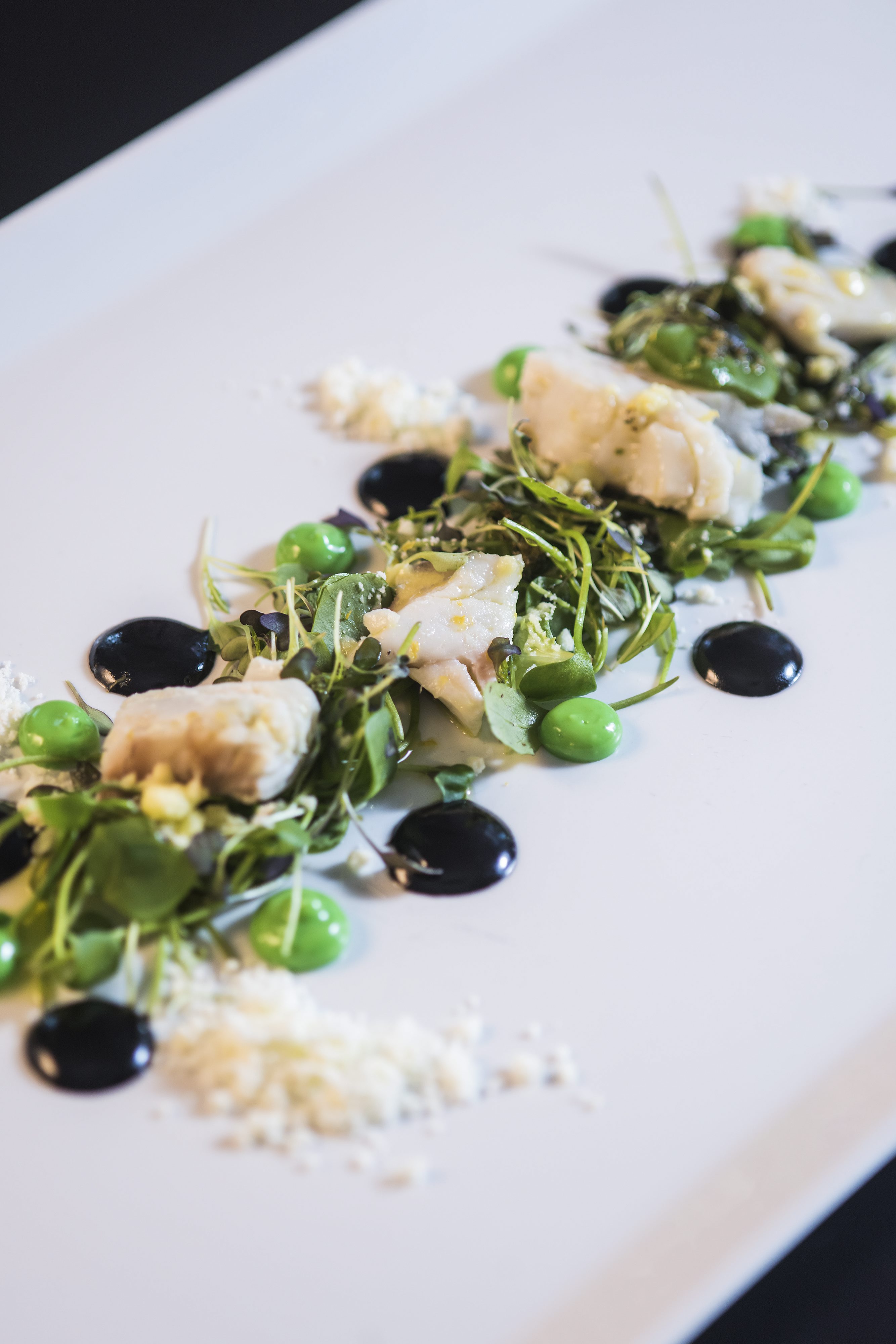 amfiteatar_zembo32-291116