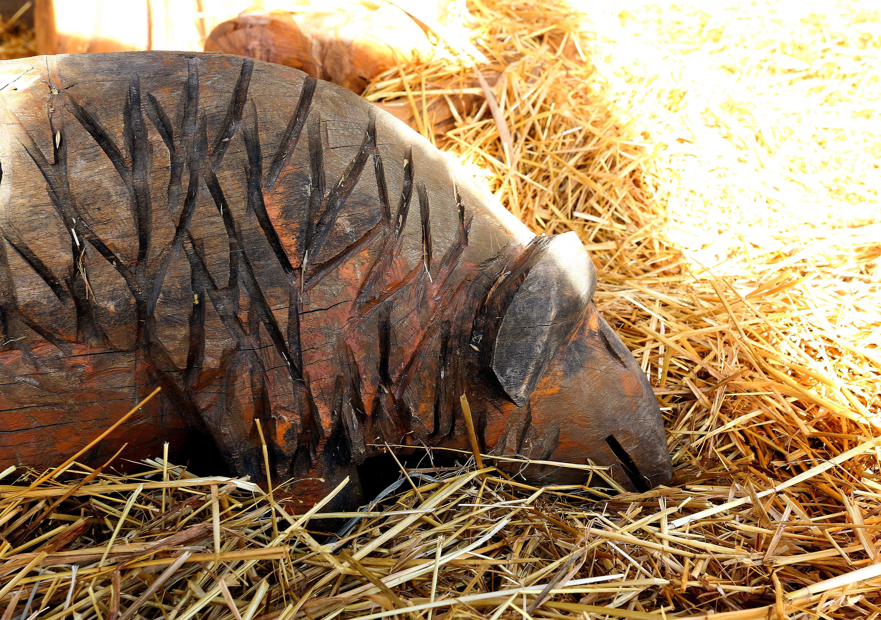 jaslice_svinja5-281216