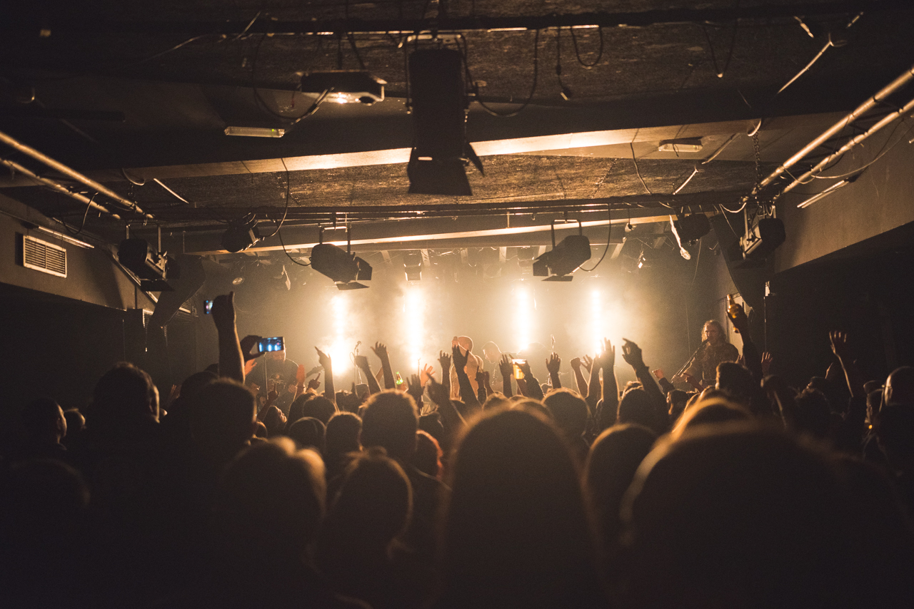 Koncert za Igija u Močvari