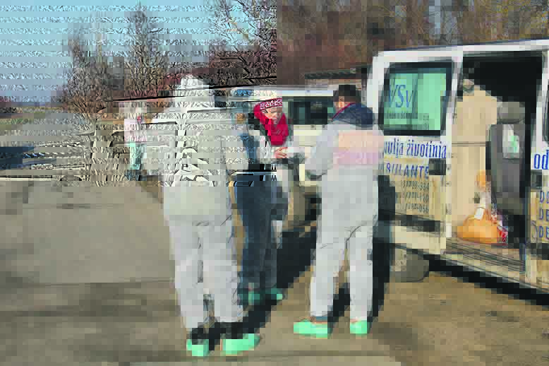 pticja_gripa4-301216