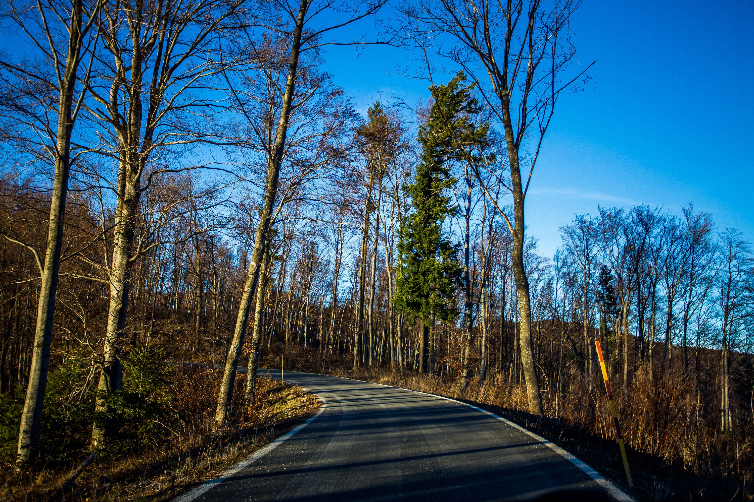 medvednica_sunce-081216