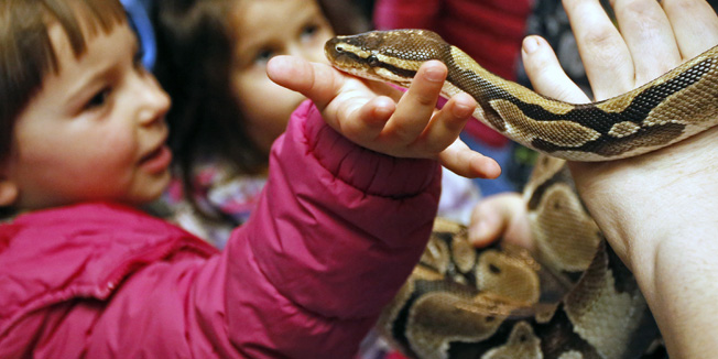 Zagreb, 050316.ZOO, Maksimir.Ministarstvo zastite okolisa i prirode i Zooloski vrt grada Zagreba obiljezili su Svjetski dan divljih vrsta edukativno-zabavnim programom. Zainteresirani gradjani u Tropskoj kuci mogli su dodirnuti manje neotrovne egzoticne zmije.Na fotografiji: djeca dodiruju zmiju.Foto: Marko Todorov / CROPIX