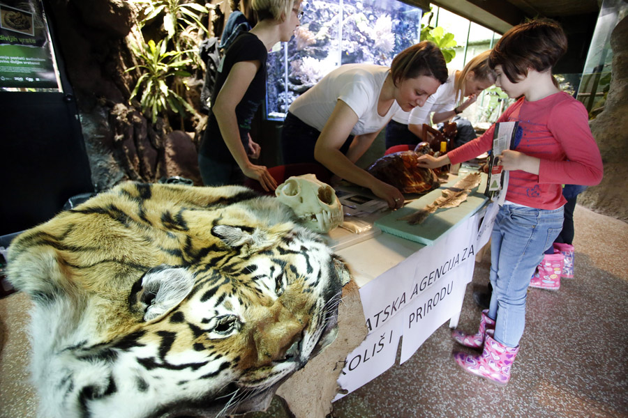 Zagreb, 050316.ZOO, Maksimir.Ministarstvo zastite okolisa i prirode i Zooloski vrt grada Zagreba obiljezili su Svjetski dan divljih vrsta edukativno-zabavnim programom. Zainteresirani gradjani u Tropskoj kuci mogli su dodirnuti manje neotrovne egzoticne zmije.Na fotografiji: edukativni stand.Foto: Marko Todorov / CROPIX