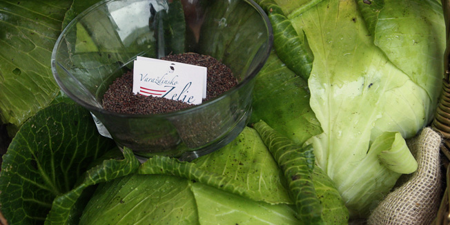 Varazdin, 051113Na obiteljskom gospodarstvu obitelji Cafuk u mjestu Domitrovec pored Varazdina odrzani su dani otvorenih vrata na kojem je prezentirana proizvodnja sjemena varazdinskog zelja. Varazdinsko zelje u Hrvatskoj je zasticeno znakom izvornosti, a nedavno je pokrenut postupak registracije i u Europskoj uniji. Uz istarski prsut, varazdinsko zelje jedini su proizvodi koji su podnjeli zahtjev za registraciju na EU razini. Obitelj Cafuk jedini je licencirani proizvodjac sjemena Varazdinskog zelja u Hrvatskoj.Na fotografiji: zelje.Foto: Zeljko Hajdinjak / Cropix