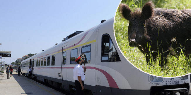 Split, 030809.Danas u 15.10 je krenuo prvi vlak u pravcu Zagreba nakon tragedije koja se dogodila 24.7. kada je nagibni vlak iskocio iz tracnica kod mjesta Rudine pored Kastela pri cemu je poginulo sestoro putnika a pedesetak ih je bilo ozljedjedjeno. Hrvatske zeljeznice bile su pod pritiskom kritike javnosti zbog odrzavanja tracnica i vlakova. U vlaku je na polasku u Splitu bilo gotovo stotinu domacih i stranih putnika koji nisu iskazivali strah zbog nedavne nesrece.Na fotografiji: vlak krece tocno na vrijeme.Foto: Nikola Vilic / CROPIX