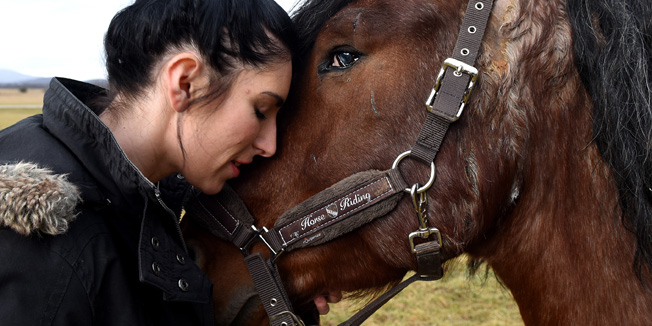 Perusic, 120216.Djordje C. iz Doljana kod Otocca brutalno je pokusao ubiti konja, u cemu nije uspio pa su ga udomile Ana Kruljac i Katarina Rogic iz Perusica.Na fotografiji: Ana Kruljac i Katarina Rogic sa nesretnim konjem.Foto: Robert Fajt / CROPIX