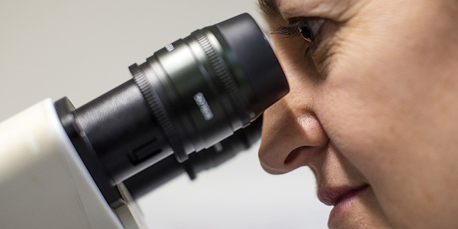 CAMBRIDGE, UNITED KINGDOM - DECEMBER 09:  A Scientist looks at cells through a fluorescent microscope at the laboratories at Cancer Research UK Cambridge Institute on December 9, 2014 in Cambridge, England. Cancer Research UK is the world's leading cancer charity dedicated to saving lives through research. Its vision is to bring forward the day when all cancers are cured. They have saved millions of lives by discovering new ways to prevent, diagnose and treat cancer, and as such the survival rate in the UK has doubled in the last 40 years. Cancer Research UK funds over 4,000 scientists, doctors and nurses across the UK, more than 33,000 patients who join clinical trials each year and a further 40,000 volunteers that give their time to support the work. (Photo by Dan Kitwood/Getty Images/Cancer Research UK)