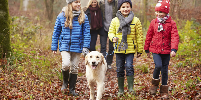 Family Walking Dog Through Winter Woodland
