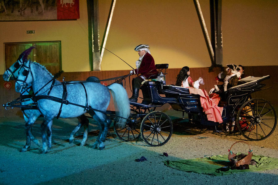 Djakovo, 151212.U zatvorenoj jahaonici Drzavne ergele lipicanaca u Djakovu veceras se pred punim gledalistem odrzao prvi  Bozicni bal lipicanaca. Bal lipicanaca je odrzan u izvedbi clanova Udruge Lipicanska barokna raskos. U predstavi koja traje gotovo sat vremena nastupili su kraljevski bijeli lipicanski pastusi, dresurni jahaci, kocije i dame u krinolinama.Foto: Vlado Kos / Cropix