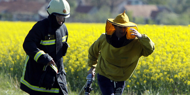 Koprivnica, 270412.Gusti roj pcela napao je Baricu Matanovic iz Staglinca kraj Koprivnice dok je hodala poljskim putem prema Glogovcu. Dobila je vise od tisucu uboda i jedva je prezivjela a na intenzivom odjelu koprivnicke Opce bolnice bori se za njen zivot.Na slici: brza intervencija vatrogasaca i sanitaraca zeni je spasila zivot.Foto: Nikola Wolf / Podravski list / Cropix