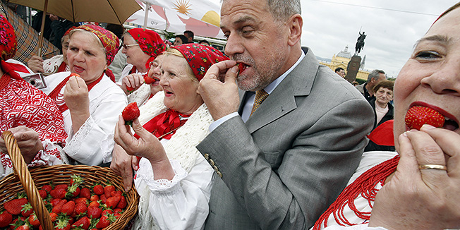 Zagreb, 160512.Trg kralja Tomislava.Gradonacelnik grada Zagreba Milan Bandic otvorio je Dane zagrebackih jagoda koji ce trajati do 15.06.2012. Organizatori manifestacije su Udruga proizvodjaca jagoda zagrebacke zupanije i gradski ured za poljoprivredu. Svjeze jagode prodaju se po 12 kn posudica. Na slici: Milan Bandic kusa jagodeFoto: Damjan Tadic / CROPIX