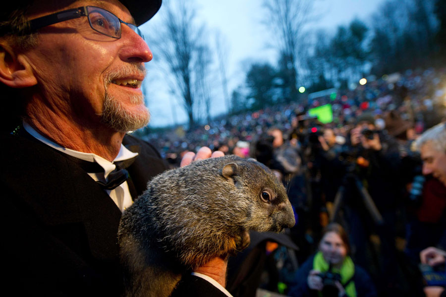 PUNXSUTAWNEY, PA - FEBRUARY 2: Groundhog handler Ron Ploucha holds Punxsutawney Phil after he saw his shadow predicting 6 more weeks of winter during the 126th annual Groundhog Day festivities on February 2, 2012 in Punxsutawney, Pennsylvania. Groundhog Day is a popular tradition in the United States and Canada. A smaller than usual crowd this year of less than 15,000 people spent a night of revelry awaiting the sunrise and the groundhog's exit from his winter den. If Punxsutawney Phil sees his shadow he regards it as an omen of six more weeks of bad weather and returns to his den. Early spring arrives if he does not see his shadow, causing Phil to remain above ground.   Jeff Swensen/Getty Images/AFP== FOR NEWSPAPERS, INTERNET, TELCOS & TELEVISION USE ONLY ==