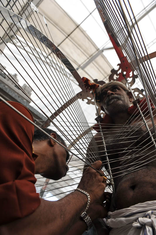 A Hindu devotee has his skin pierced with metal prongs before taking part in a traditional ceremony during the annual Hindu festival of Thaipusam in Singapore on February 7, 2012. Thaipusam is celebrated during the full moon in the Tamil month of Thai and commemorates the birthday of the Hindu deity Murugan. To mark this day of penance and thanksgiving, Hindus pierce their body with metal skewers and carry pots of milk on their heads along a four kilometre procession.  AFP PHOTO / ROSLAN RAHMAN
