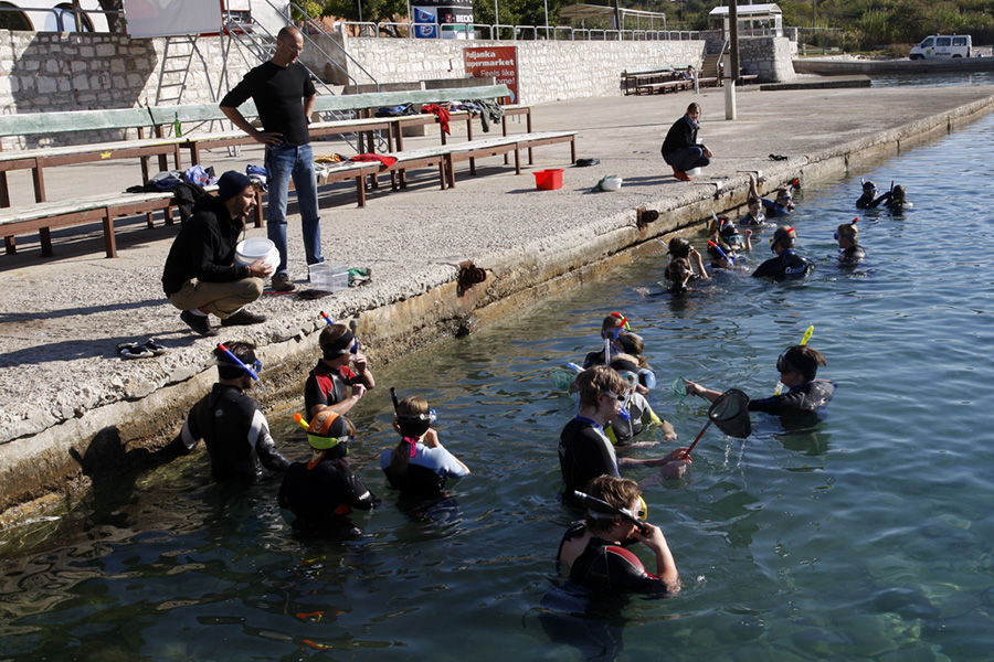 Pula, 171011.Austrijski srednjoskolci praksu iz morske biologije obavljaju na pulskom Mornaru. Naime ovi mladi biolozi sami moraju izroniti neka morska ziva bica kako bi ih kasnije u laboratoriju pod mikroskopom promatrali.Foto: Goran Sebelic / CROPIX