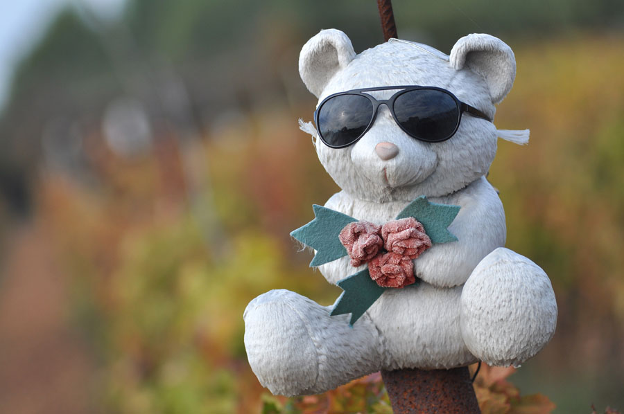 Zadar, 021111Uz cestu koja vodi od Zadra prema Razancu moze se vidjeti jedan od sigurno najneobicnijih vinograda na svijetu. Umjesto uobicajenih strasila, vinograd cuvaju ogromni plisani medvjedi , lutke, barbike i raznorazne druge igracke i predmeti.Foto: Luka Gerlanc / CROPIX