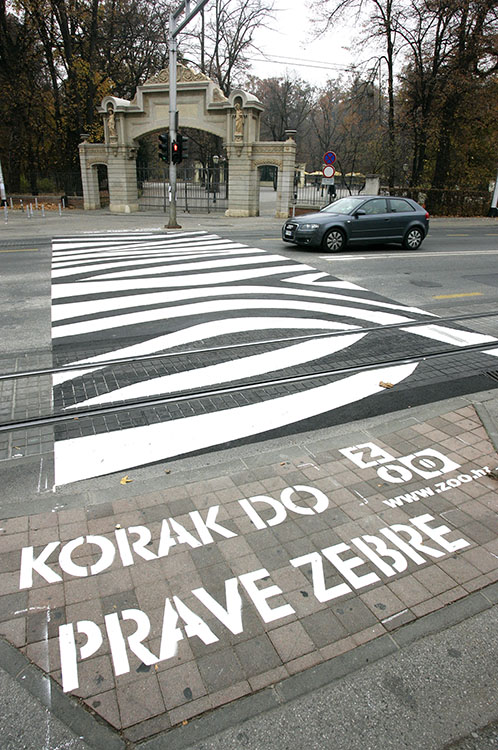 Zagreb, 091111.Maksimirska ulica, Park Maksimir.Zagrebacki zooloski vrt preoblikovao je obican pjesacki prijelaz u prijelaz sa sarama nalik na pravu zebru. Na oba kraja pjesackog prijelaza pise 