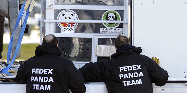 Workers unload travel crates containing giant panda Yang Guang (sunshine) from a plane at the airport in Edinburgh on December 4, 2011, after its transfer from Chengdu in China on their way to its new home at Edinburgh zoo. An eagerly anticipated pair of giant pandas arrived in Edinburgh on a special charter flight from China, to become the first of the endangered animals to live in Britain for 17 years.  Edinburgh Zoo is paying about $1 million (750,000 euros) a year to the Chinese authorities for the pandas. AFP PHOTO / ANDY BUCHANAN