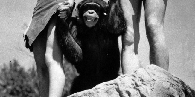 FILE - A file photo shows Johnny Weissmuller, right, as Tarzan, Maureen O'Sullivan as Jane, and Cheetah the chimpanzee, in a scene from the 1932 movie Tarzan the Ape Man. A Florida animal sanctuary says Cheetah the chimpanzee from the Tarzan movies of the 1930s died Cheetah died on Dec. 24 of kidney failure at age 80. (AP Photo/ho, File)