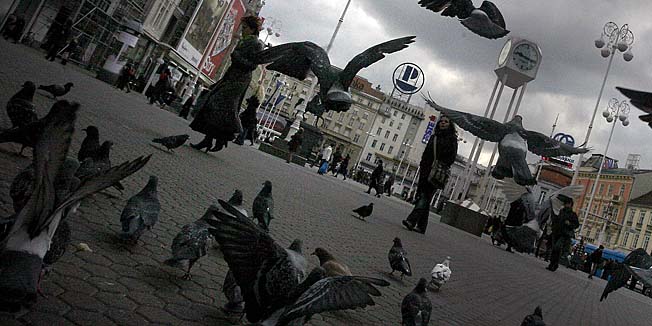 Zagreb 200309.Oblacno i vjetrovito vrijeme na trgu Bana Jelacica. Golubovi su stalni gosti na trgu.Foto: Damjan Tadic / CROPIX
