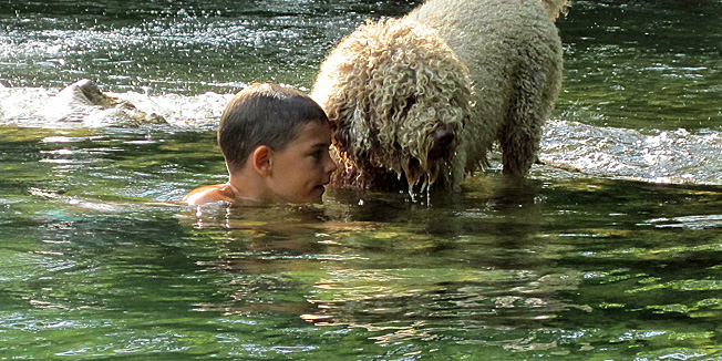 Mreznica, 040712.U danima kada vladaju natprosjecne ljetne vrucine, vecina ljudi trazi nekakav nacin rashladjivanja. Dok na morskim plazama vec vladaju velike guzve, odlicna alternativa za one zeljne nesto aktivnijeg odmora, kupanja i osvjezenja  je donji tok do mreznickog briga koji nudi i razlicite sadrzaje kao sto je rafting , kanuing i kupanje na slapovima.na slici: igra djecaka i psa.Foto : Srdjan Vrancic / CROPIX