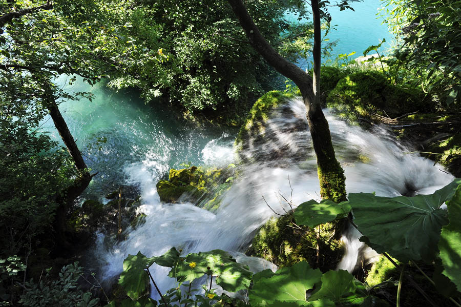 Plitvicka jezera, 040812.Plitvicka jezera su najveci, najstariji, najposjeceniji i najpoznatiji hrvatski nacionalni park. Proglasena su nacionalnim parkom 1949. godine, prostiru se na 29 i nesto tisuca hektara u dvije zupanije, pod zastitom su UNESCO-a, a sastavljena su od guste sume u kojoj prevladava bukva i 16 manjih i vecih jezera.Foto: Boris Kovacev / CROPIX