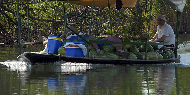 Metkovic, 120710.Berba lubenica u dolini Neretve.Lose vrijeme neuobicajeno za ovo doba godine usporilo je zriobu i berbu lubenica na neretvanskim poljima. Ovoga ljeta na podrucju Doline neretve zasadeno je oko 200 hektara povrsina lubenice, a urod se procjenjuje na osam tisuca tona.Na slici: Neretvani lubenicu prevoze tradicionalnoim ladjama.Foto: Denis Jerkovic / CROPIX