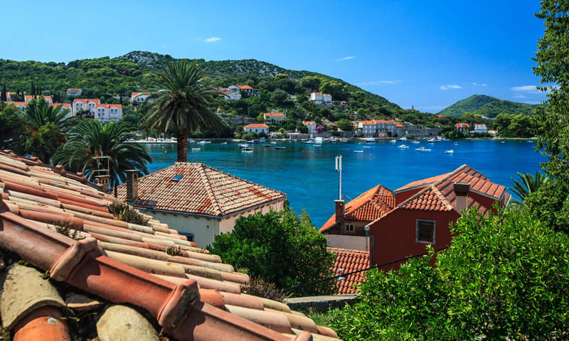 Otok Kolocep, 150912.  Kolocep, po dubrovackom Kalamota, otok u Elafitskom Arhipelagu najjuzniji je naseljeni hrvatski otok. Na otoku nema cesta a s tim niti automobila pa je otok idealan za relaksaciju i odmor od gradske vreve. Otok je udaljen od Dubrovnika svega 3km te pruza gostima uzitak u moru i suncu.Na slici: detalj sa Kolocepa.Foto: Zvonimir Barisin / CROPIX