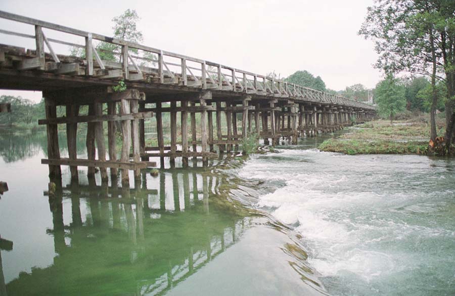 mreznica,050999foto:b.scitar