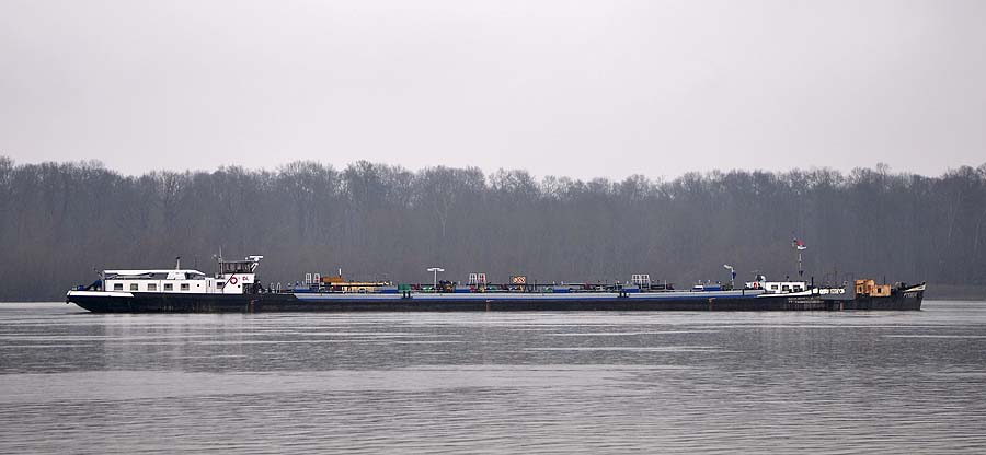 Sabac, 190211.Hrvatski rijecni tanker Siscija vec je sesti dan nasukan na rijecnom sprudu na Savi kod sela Mrdjenovac nedaleko od Sapca.Foto: FoNet / CROPIX