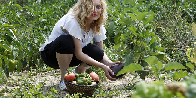 Mustafina Klada, 200810.Kod Kutine.Gospodarstvo saborske zastupnice Marijane Petir.Na imanju se uzgaja voce, povrce i svinje.Foto: Goran Mehkek / CROPIX