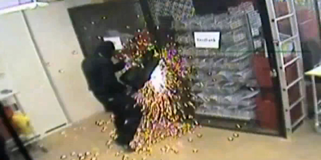 287804.bin