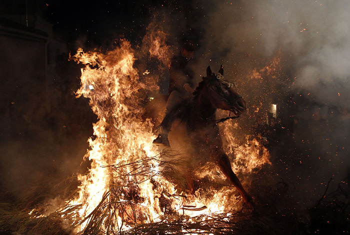 A man rides his horse through flames during the annual Saint Anthony purification ceremony in the village of San Bartolome de Pinares near Avila late January 16, 2010. The festival coincides every year with the eve of the religious festivity of Saint Anthony, the patron saint of animals. According to tradition, revellers ride their horses through bonfires placed around the village to purify the animals with fire and smoke after receiving a blessing from a priest. Picture taken January 16, 2010. REUTERS/Susana Vera (SPAIN - Tags: RELIGION SOCIETY)
