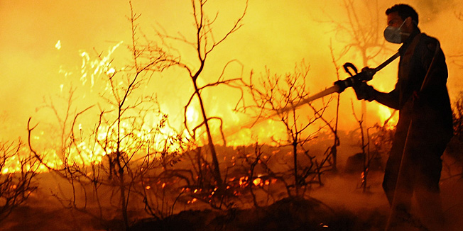 An Israeli firefighter tries to extinguish raging fire in Beit Oren, Carmel Forest, near Israel's northern city of Haifa on December 02, 2010. Around 40 people are believed to have been killed in the devastating forest fire burning. AFP PHOTO/DAVID BUIMOVITCH