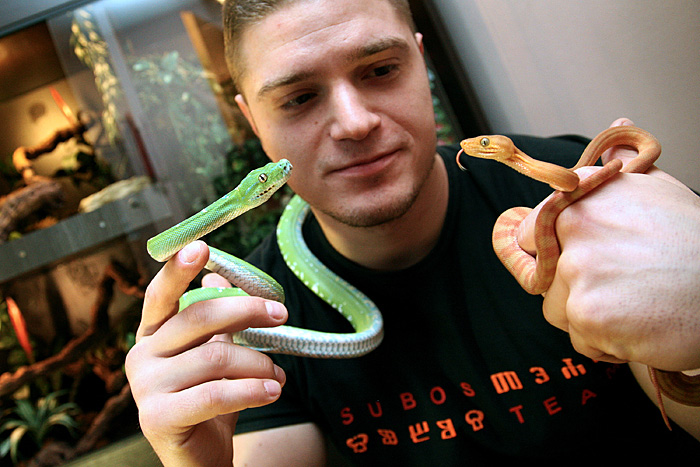 Zagreb, 260110.Vanja Paris i njegove zmije.Foto: Sandra Simunovic / CROPIX