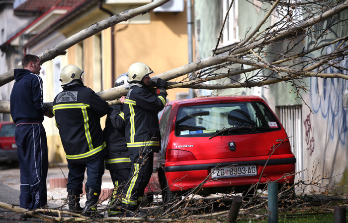 Zagreb, 200310.U Drzicevoj ulici jak vjetar srusio je drvo na automobil i obiteljsku kucu.Ozlijedjenih na srecu nije bilo a ukucani i susjedi se zale na stari drvored ispred njihovih kuca.Drvo koje se urusilo gotovo i nema korjen.Na slici uruseno drvo u Drzicevoj ulici.Foto: Danijel Soldo / CROPIX