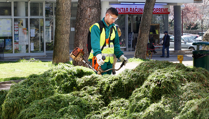 Pula, 310310.Radnici komunalnog poduzeca Herculanea kose travu po pulaskim parkovima. Trave ima mnogo a to se i vidi po hrpi ispred radnika.Foto: Goran Sebelic / CROPIX                              
