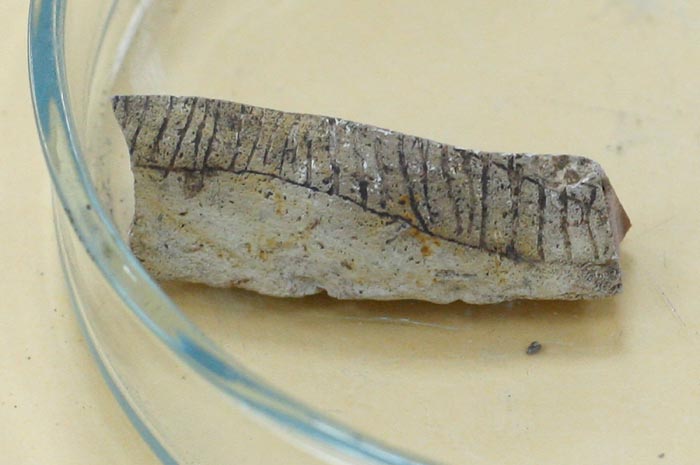 Zadar, 230610.Na arheoloskom nalazistu u pecini Vlakno na Dugom otoku izmedju ostalih nakitnih predmeta  pronadjen je i predmet ukrasen nizom kratkih paralelnih i dva vodoravna ureza za koje se sumnja da su umjetno izradjeni.  Star oko 15 000 godina moze se smatrati najstarijim umjetnickim predmetom u Hrvatskoj. Na fotografiji : umjetnicki predmet.Foto: Vladimir Ivanov / CROPIX