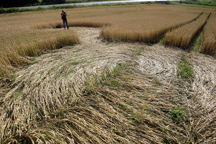Cakovec, 280610.Izmedju mjesta Donji Koncovscak i Sveti Martin na Muri u zitu pojavili su se misteriozni krugovi. Mjestani okolnih kuca ne vjeruju da se radi o vanzemaljcima, vec da je rijec o sali lokalnih mjestana.Foto: Zeljko Hajdinjak / CROPIX