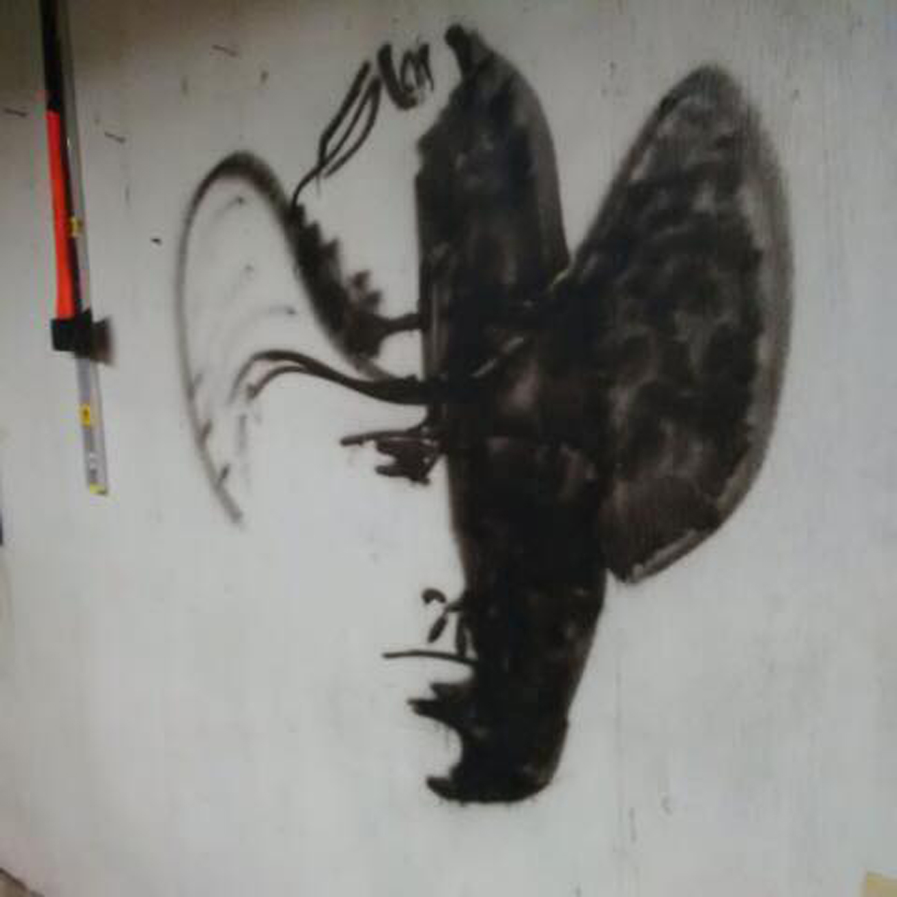 opticka-iluzija-kauboj