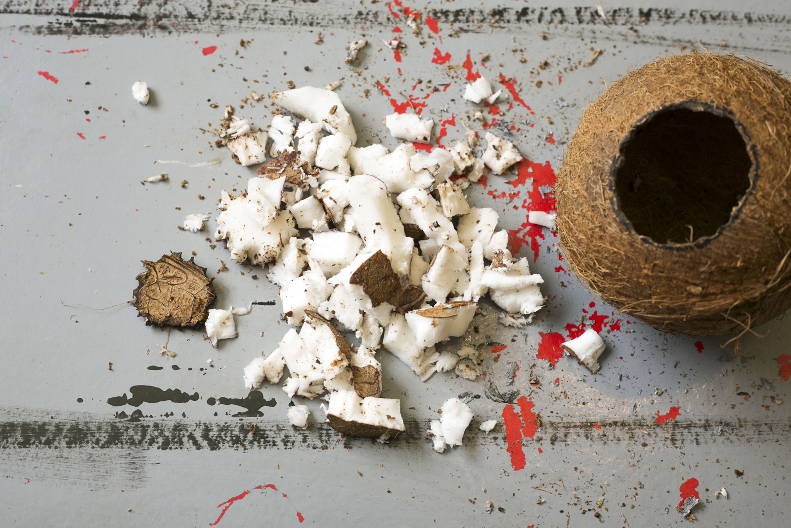 zagreb-14-01-2015-vrtlarski-savjeti-vrtlara-hrvoja-kovacha-2.bin