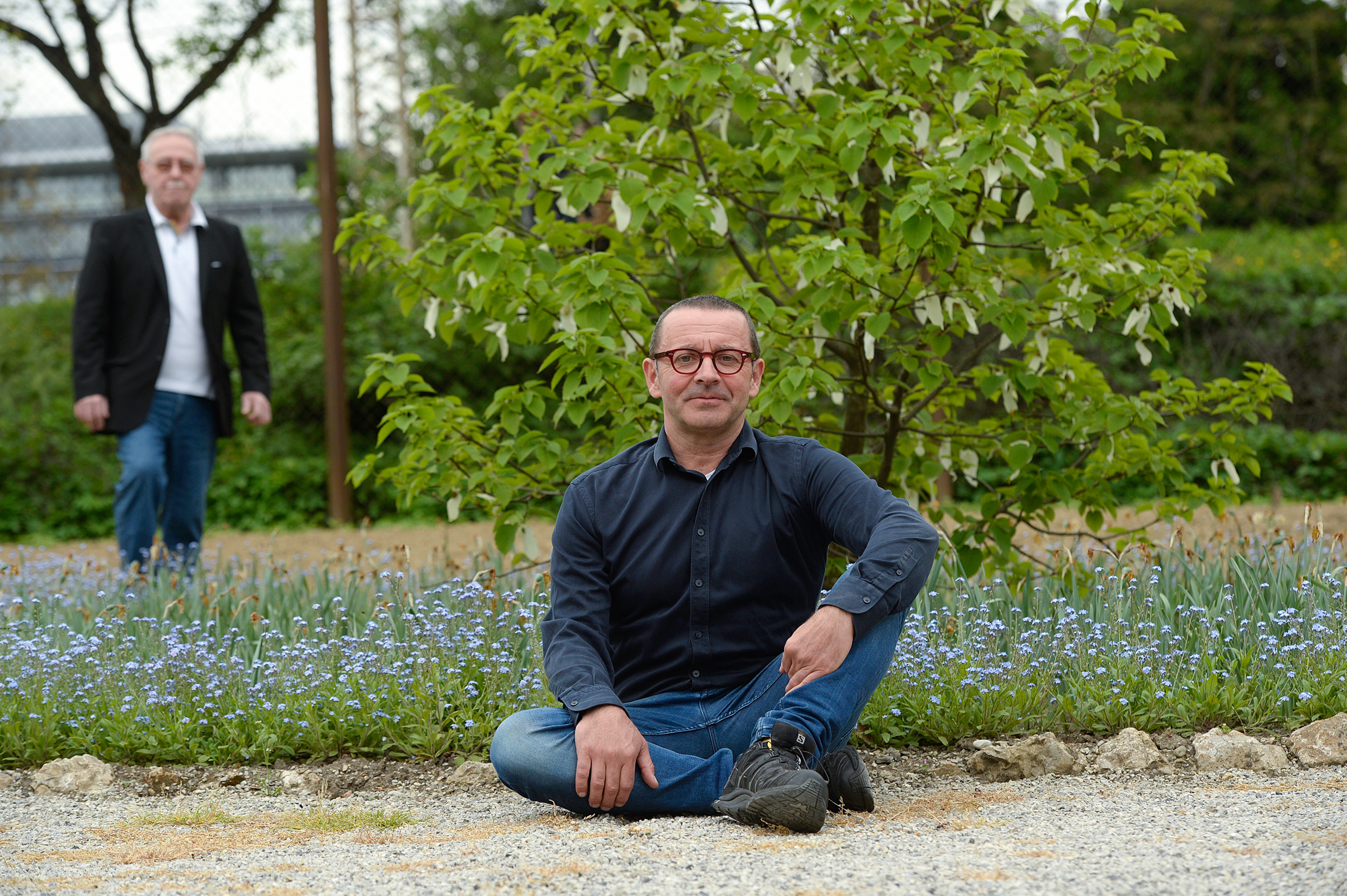 Krešimir Dolenčić