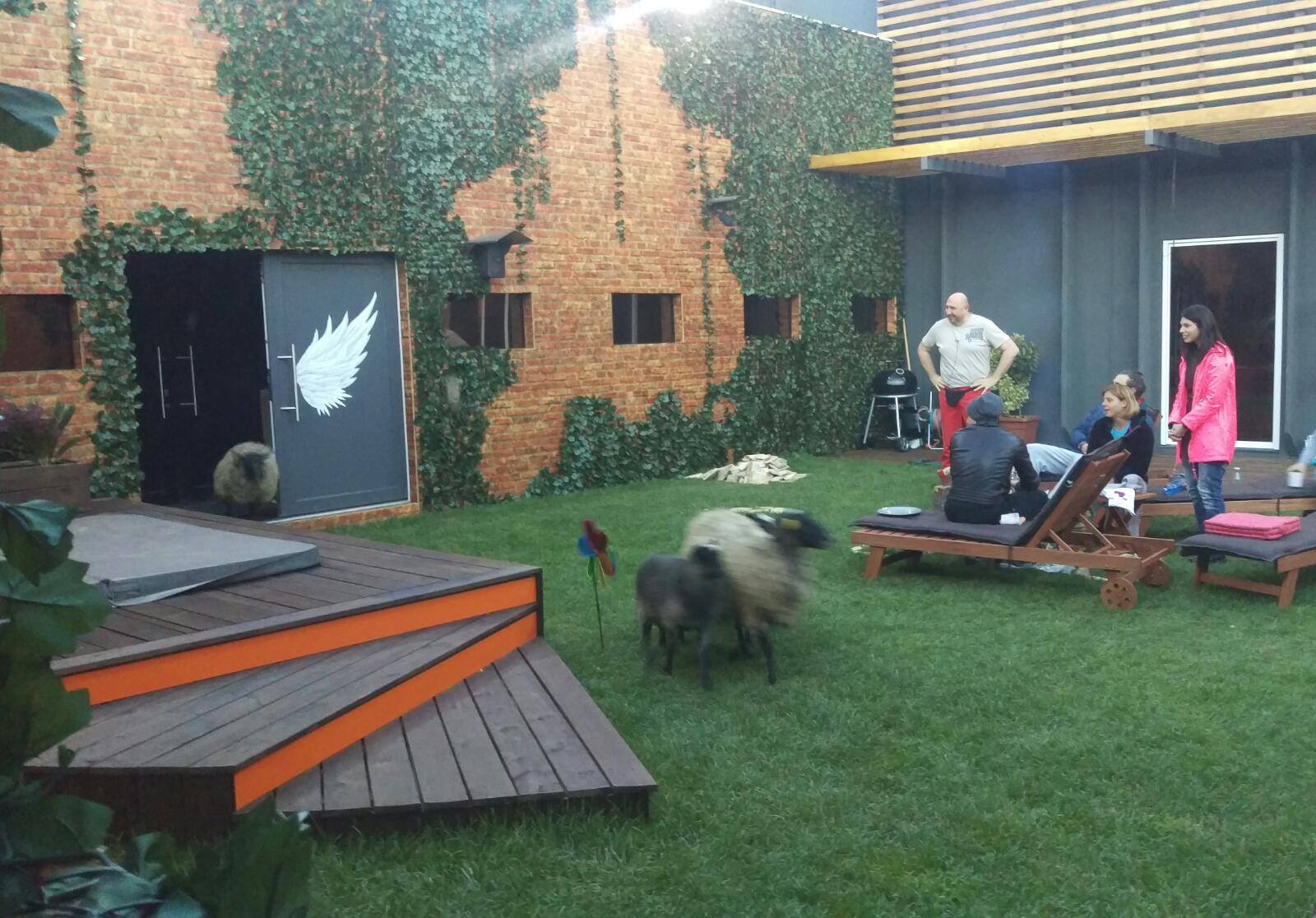 13048046_1585152391776090_6348863981449249087_o