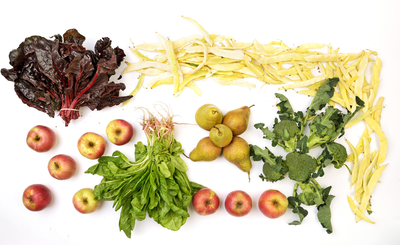 50-kn-20121116-4-stup.bin