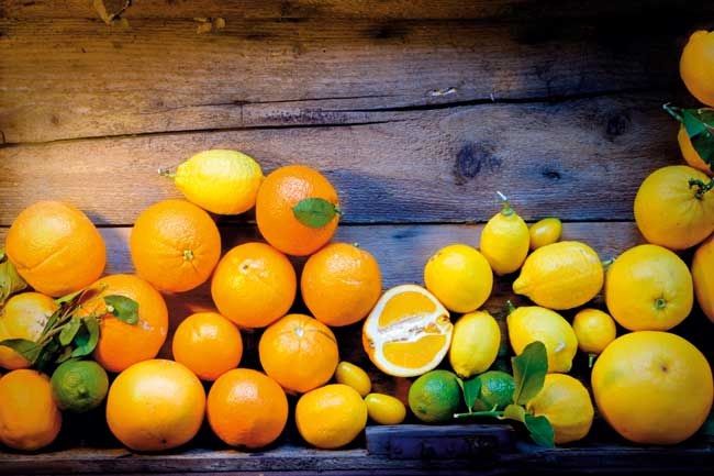 citrusi_editorial3-180112.bin