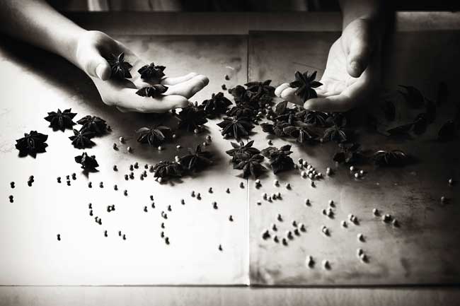 izborspice0103201215.bin