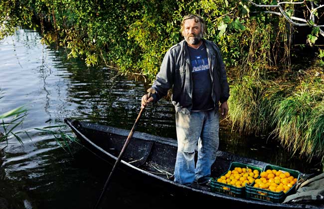 jole_medak7-031111.bin