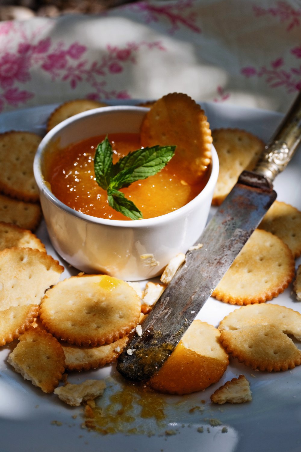 marmelada_breskve_cili.bin