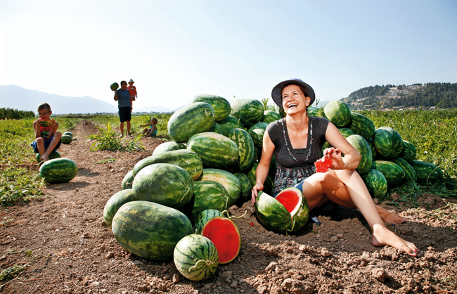 metkovic-16-07-2012-prica-o-uzgajivacima-lubenica-obitelji-volarevic.bin