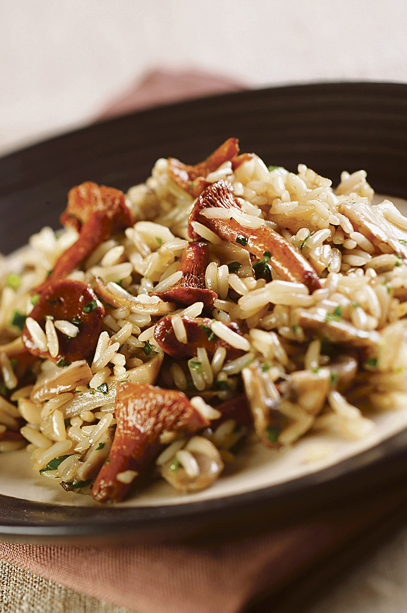 rizoto-lisicarke.bin